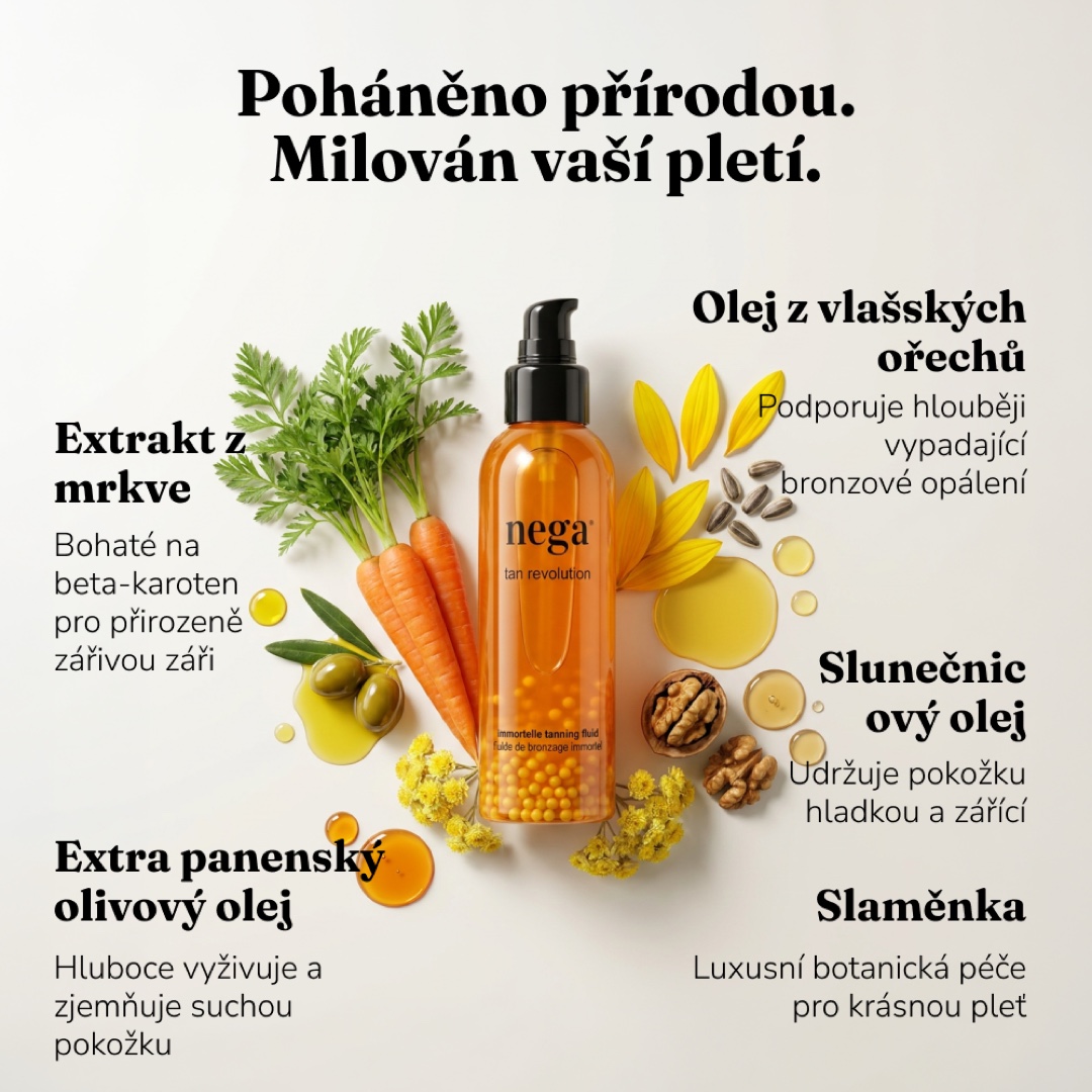 Klíčové složky